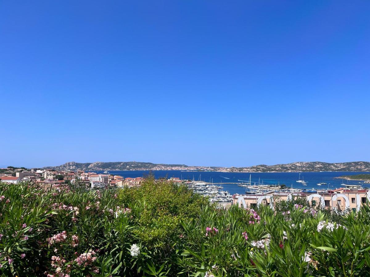 L'Angolo Sul Porto 帕劳 外观 照片